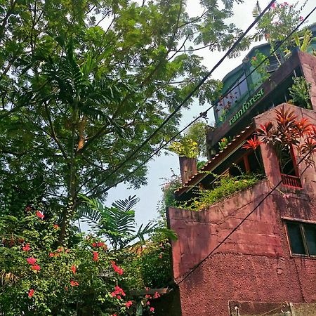 Rainforest Bed & Breakfast كوالالمبور المظهر الخارجي الصورة