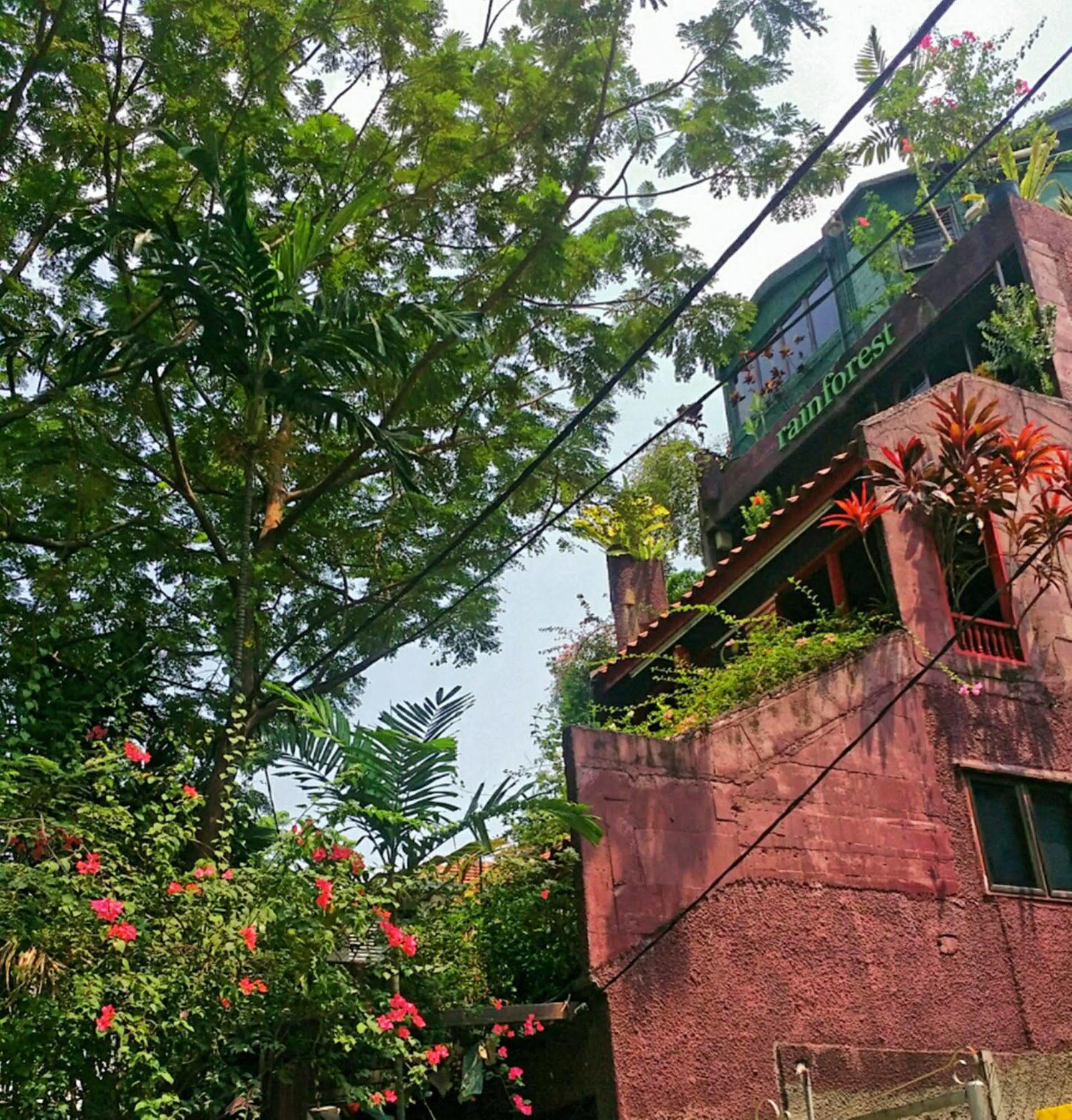 Rainforest Bed & Breakfast كوالالمبور المظهر الخارجي الصورة