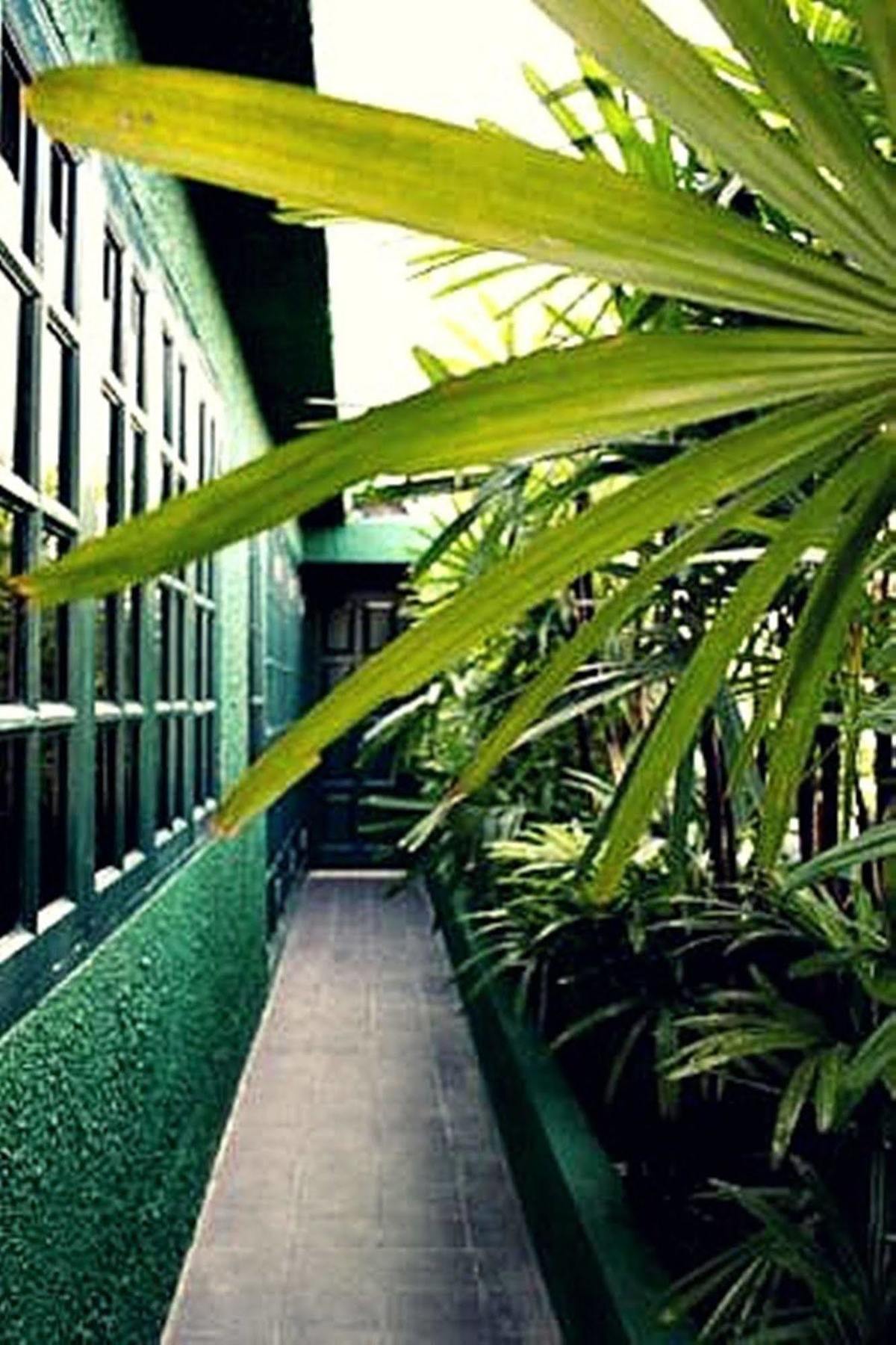 Rainforest Bed & Breakfast كوالالمبور المظهر الخارجي الصورة